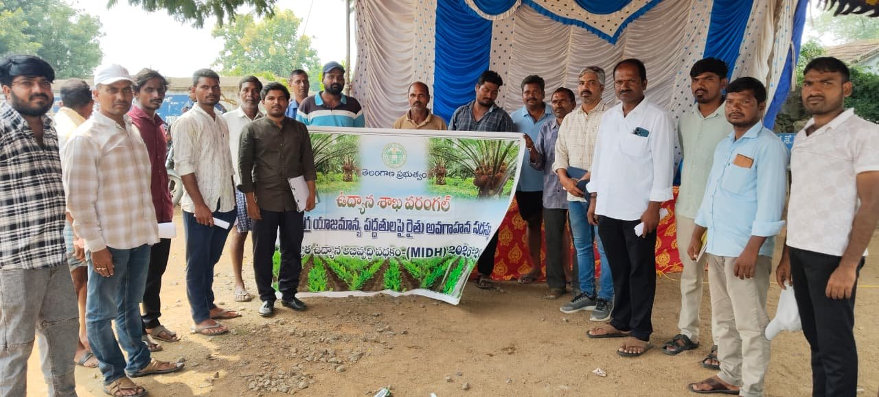 ఎల్‌నినో వేళ.. ప్రత్యామ్నాయ పంటలే మేలు 